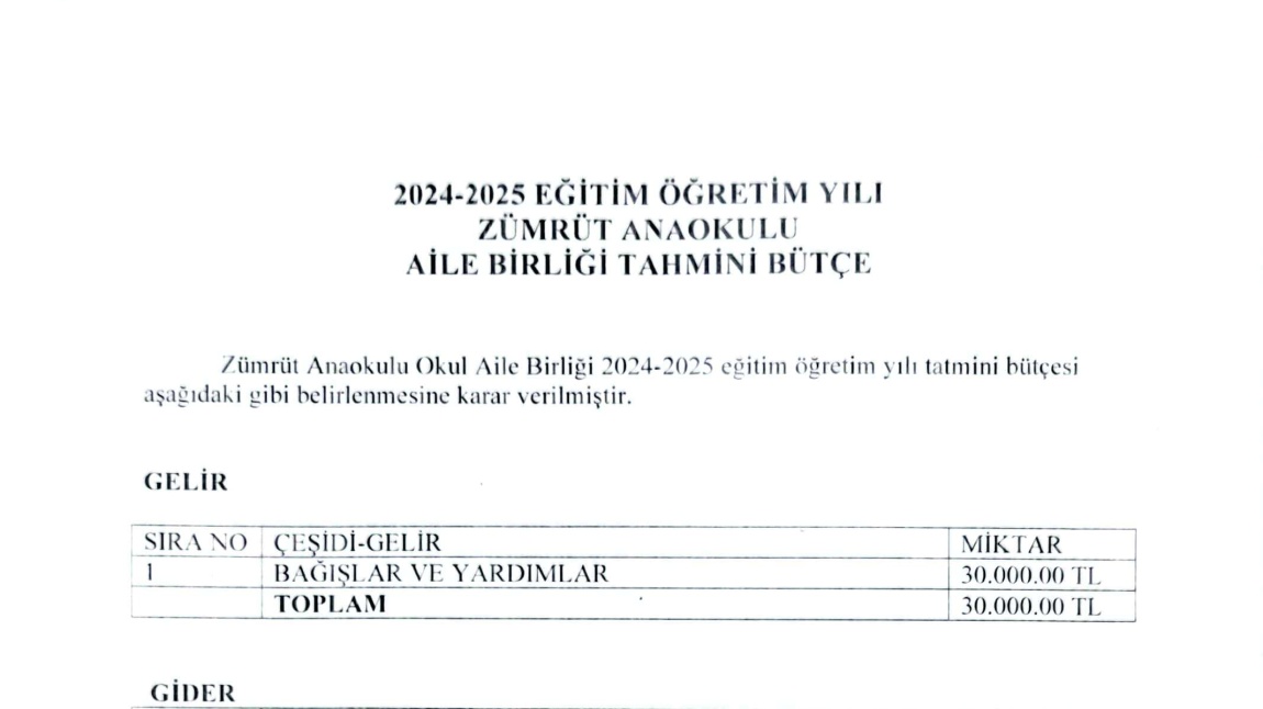 2024/2025 OKUL AİLE BİRLİĞİ TAHMİNİ BÜTÇE 