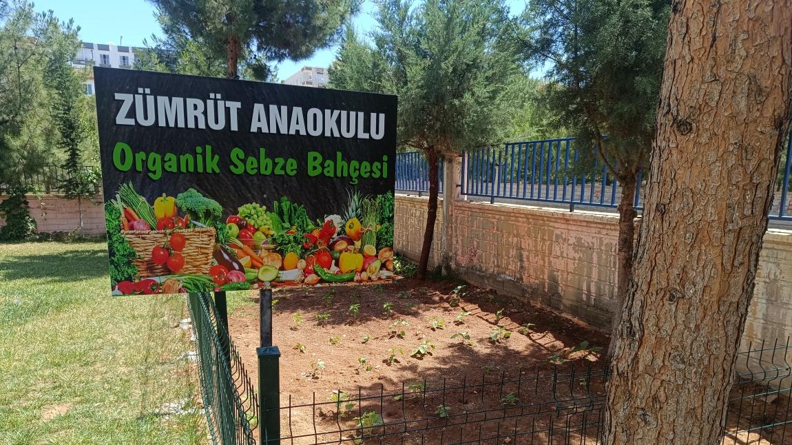  Minik eller toprağa dokundu, fidelerle tanıştı!